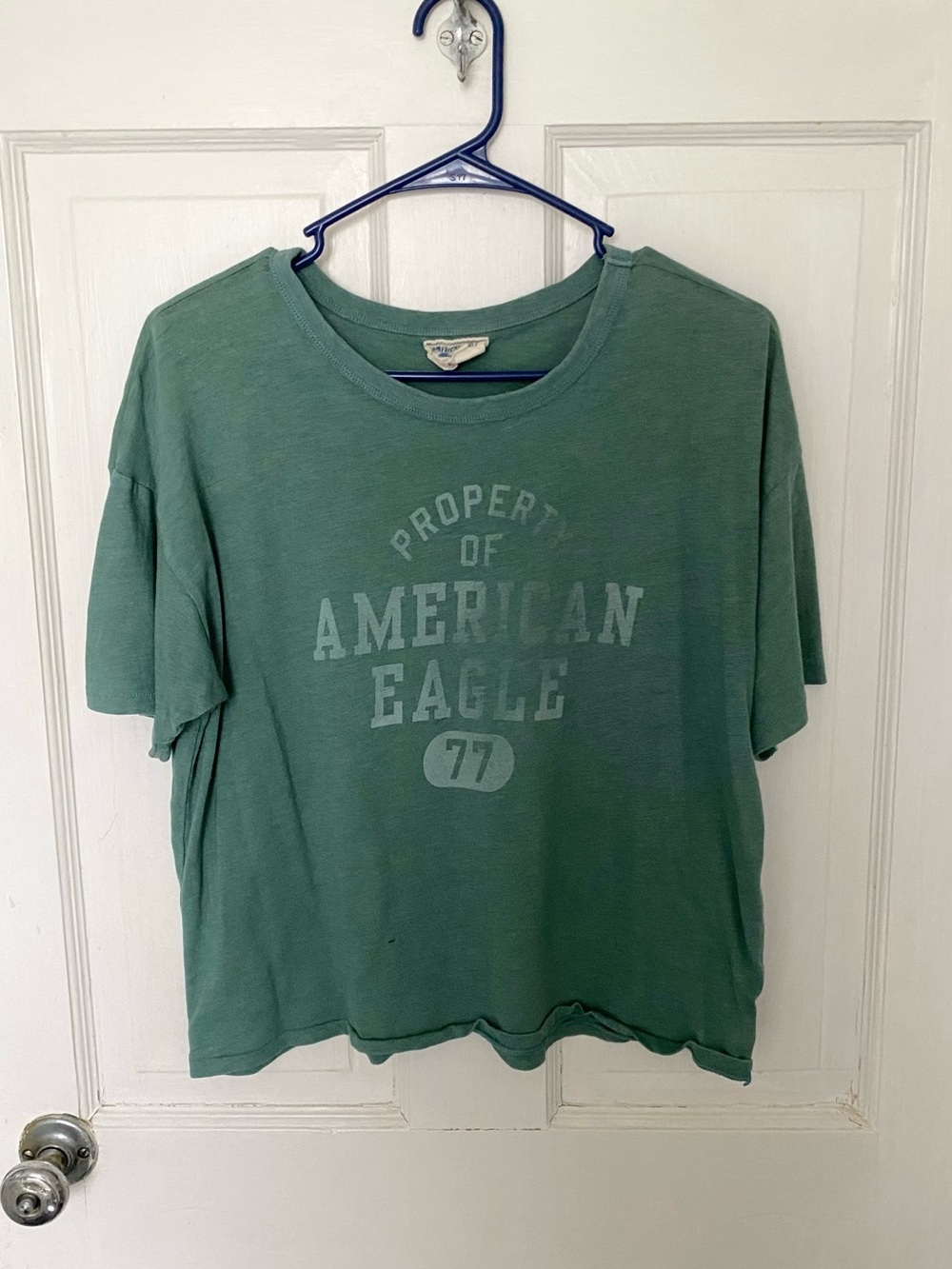 American Eagle Outfitters Green Graphic Crop Tee